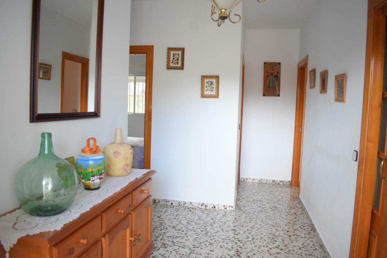 Country house Alejo