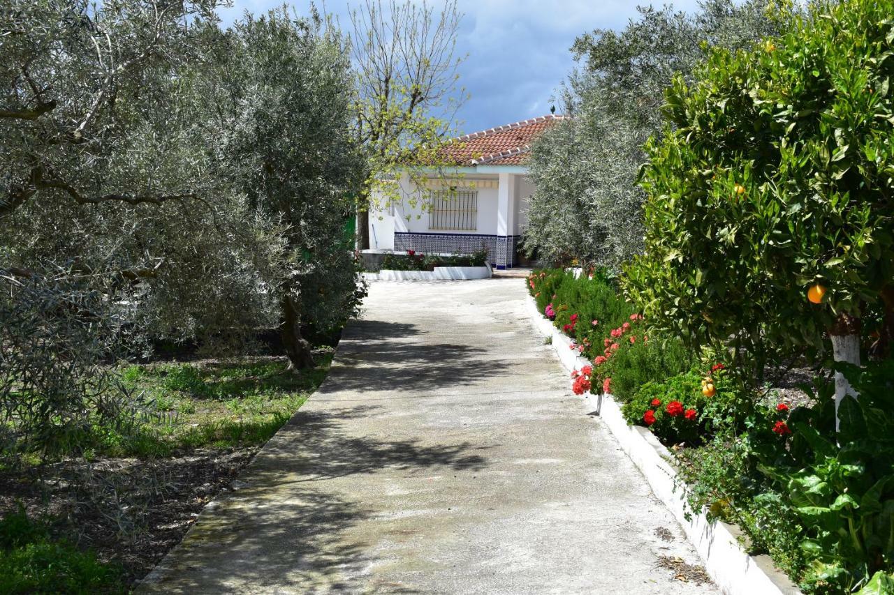Alejo Country house *